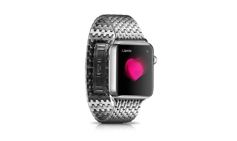 Apple Business Professional Style, Stainless Steel Strap